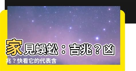 蜈蚣代表什麼|蜈蚣來訪：風水大師解讀